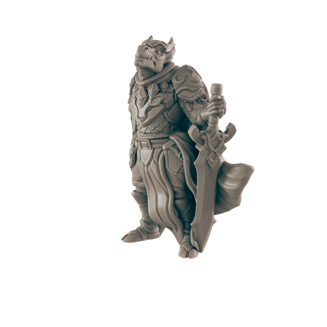 Paladin Dragonkin Male - Everyday Heroes - Minis - EC3D - - Dungeons & Dragons - RPG - Tabletop - EC3D - Miniature