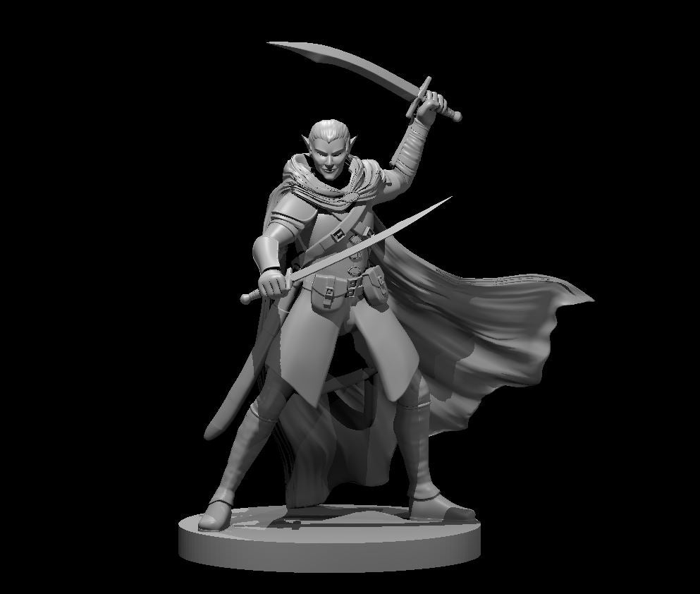 Elf Male Dual Sword Ranger - DND - Pathfinder - Dungeons & Dragons - RPG - Tabletop - mz4250- Miniature-28mm-1"Scale