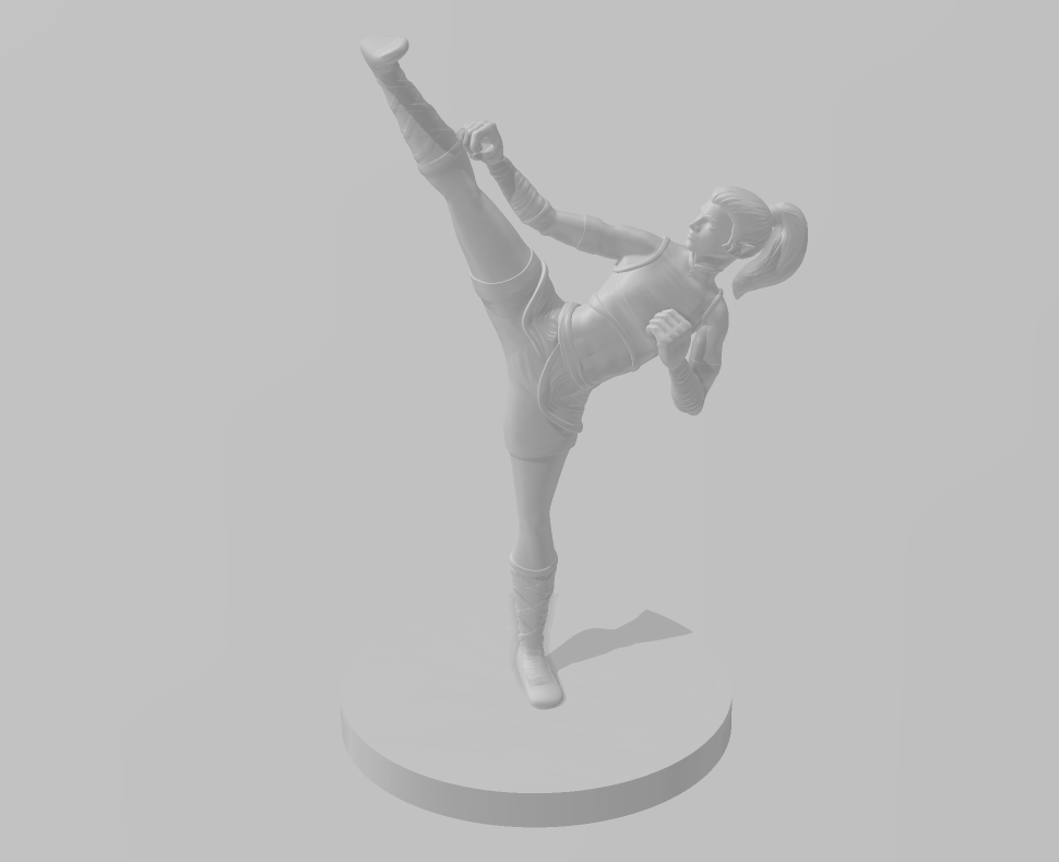 Half Elf Female Monk - DND - Pathfinder - Dungeons & Dragons - RPG - Tabletop - mz4250- Miniature-28mm-1"Scale