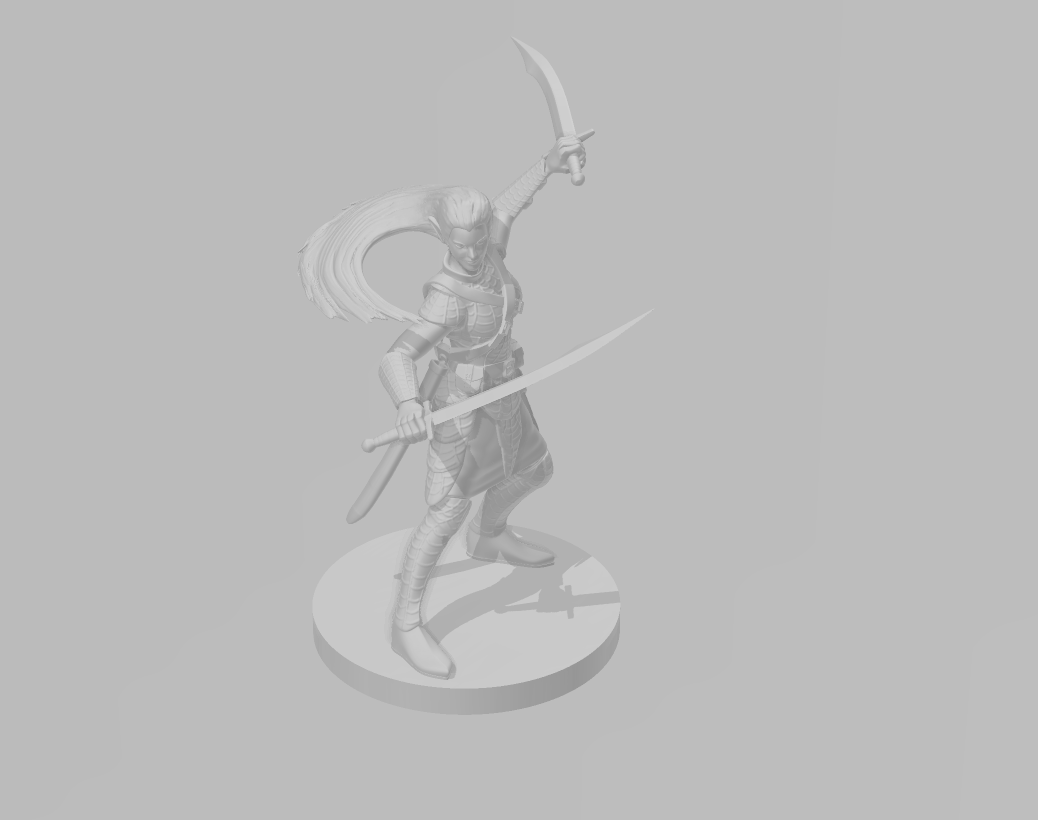 Drow Female Bladeslinger - DND - Pathfinder - Dungeons & Dragons - RPG - Tabletop - mz4250- Miniature-28mm-1"Scale