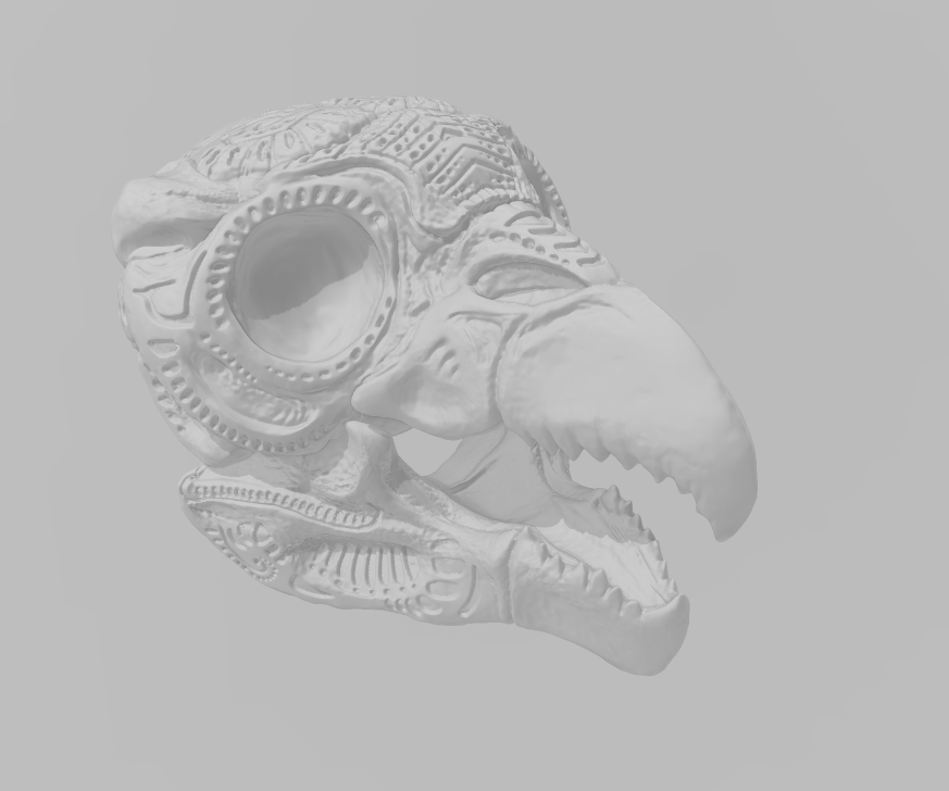 Owlbear Skull - Obliegs - Items - EC3D - Fantasy RPG