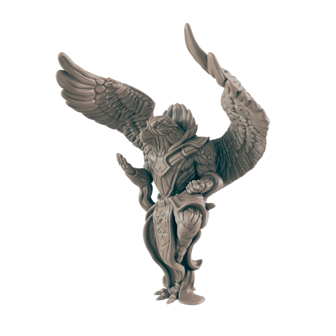 Birdkin Male Monk - Everyday Heroes - Minis - EC3D - - Dungeons & Dragons - RPG - Tabletop - EC3D - Miniature