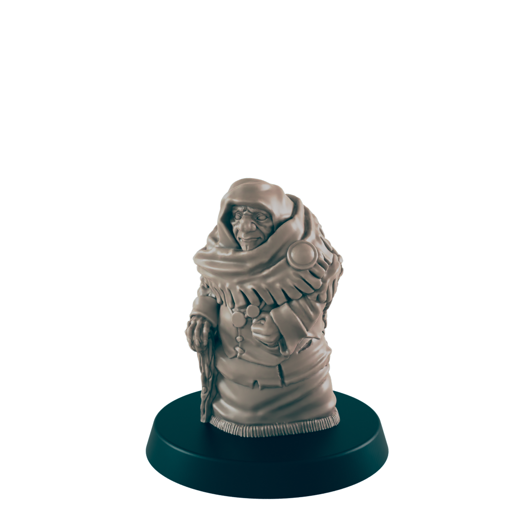 Human Woman Grandmother - Everyday Folk - Minis - EC3D - - Dungeons & Dragons - RPG - Tabletop - EC3D - Miniature