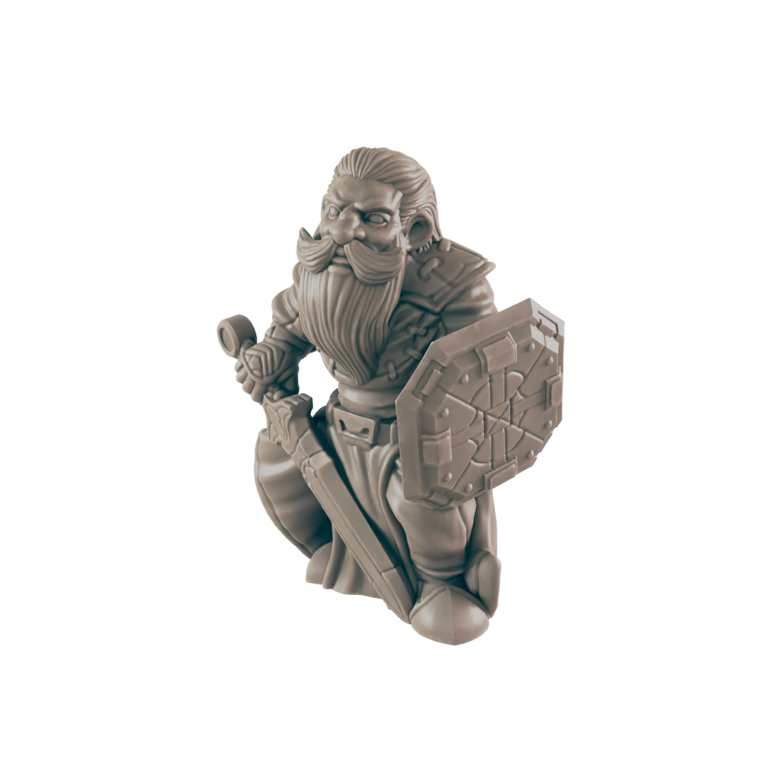 Paladin Dwarf Male - Everyday Heroes - Minis - EC3D - - Dungeons & Dragons - RPG - Tabletop - EC3D - Miniature