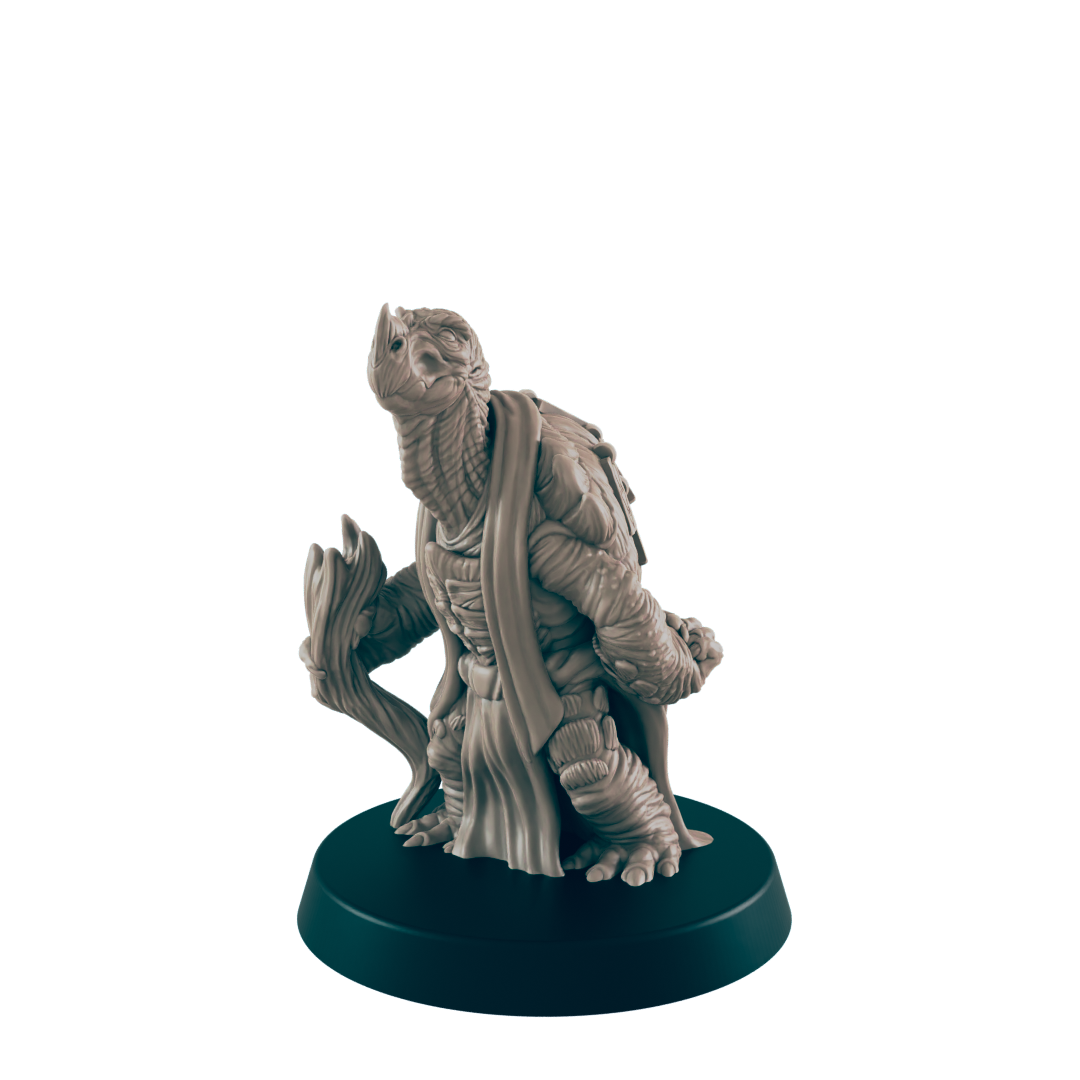 Turtlefolk Old Sage - Everyday Folk - Mini - EC3D - - Dungeons & Dragons - RPG - Tabletop - EC3D - Miniature