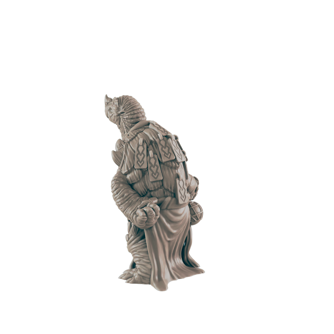 Turtlefolk Old Sage - Everyday Folk - Mini - EC3D - - Dungeons & Dragons - RPG - Tabletop - EC3D - Miniature