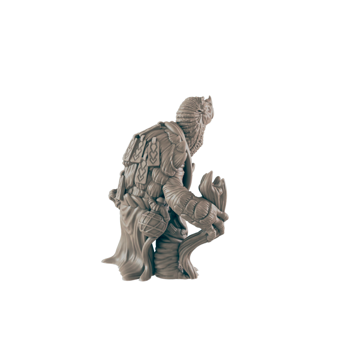 Turtlefolk Old Sage - Everyday Folk - Mini - EC3D - - Dungeons & Dragons - RPG - Tabletop - EC3D - Miniature