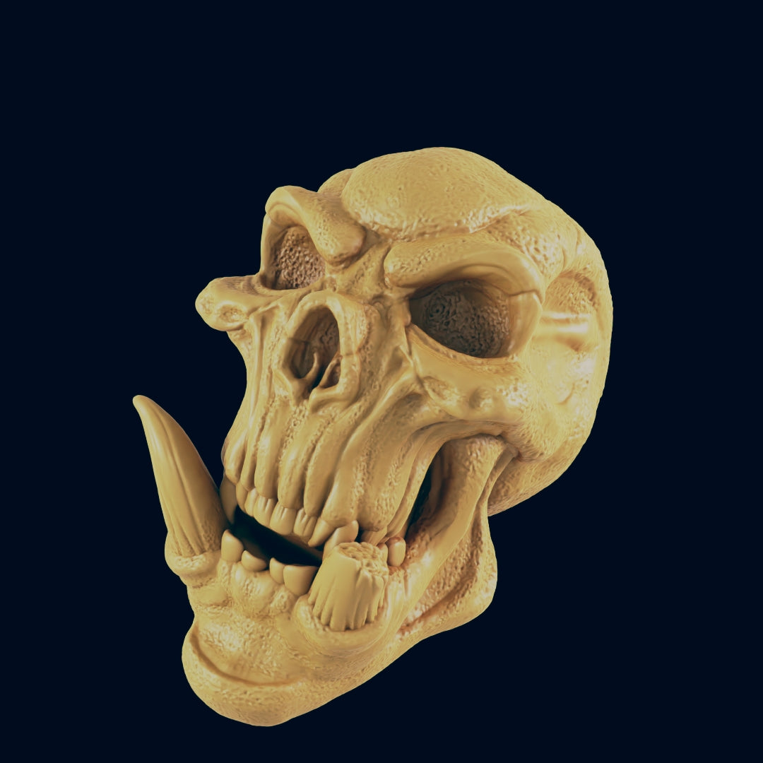Troll Skull - Obliegs - Items - EC3D - Fantasy RPG