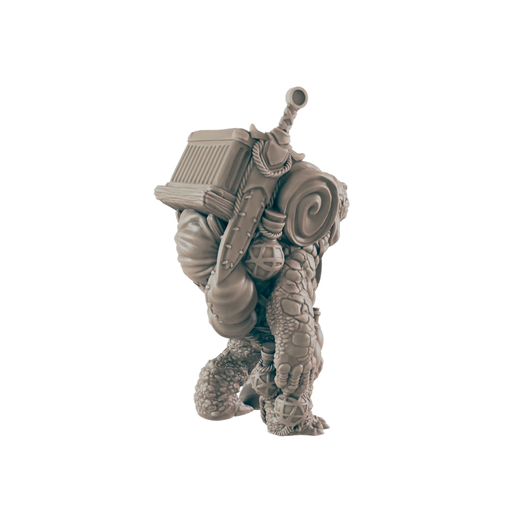 Turtlefolk Old Wanderer- Everyday Folk - Minis - EC3D - - Dungeons & Dragons - RPG - Tabletop - EC3D - Miniature