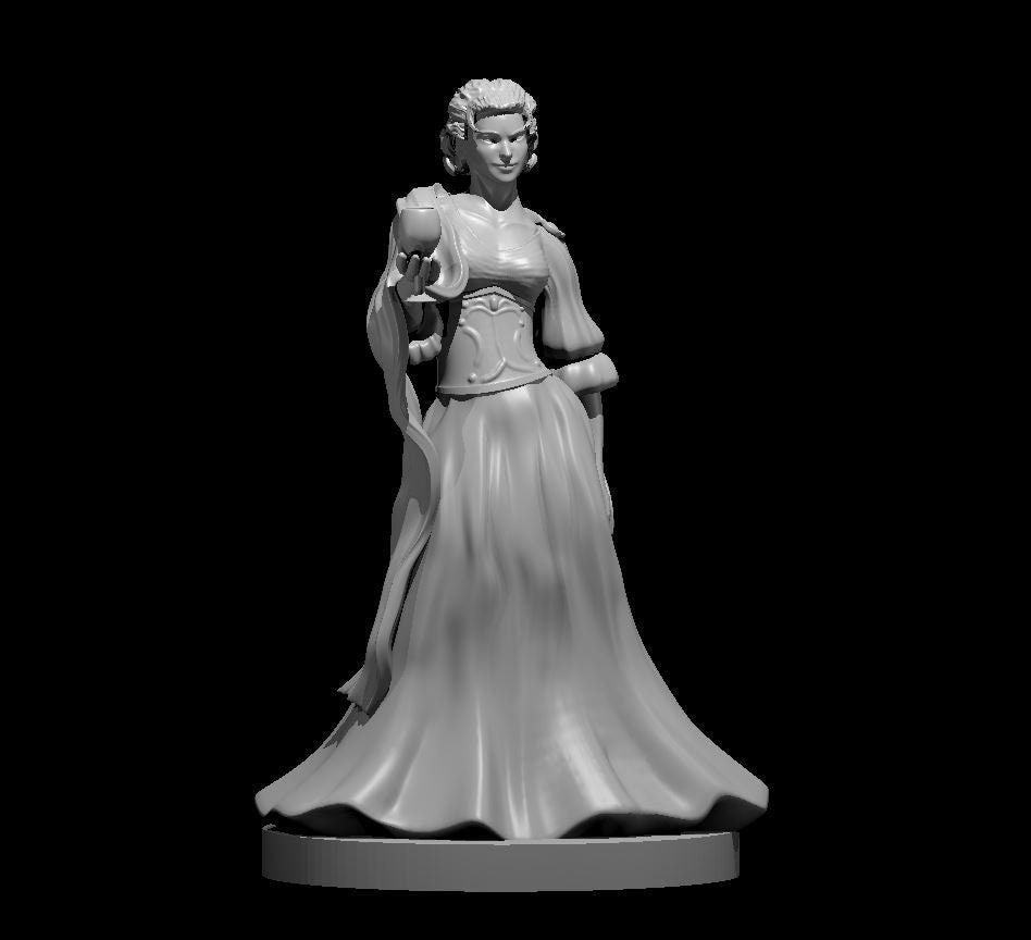 Nobles Mini - DND - Pathfinder - Dungeons & Dragons - RPG - Tabletop - mz4250- Miniature-28mm-1"Scale