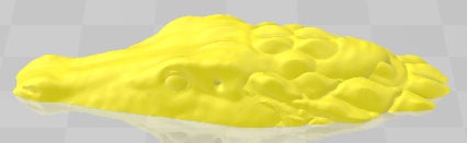 Core Crocodile Minis - Swamp of Sorrows - Pathfinder - Dungeons & Dragons -RPG- Tabletop-Terrain - 28 mm / 1"- Aether Studios