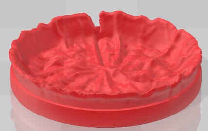 Miniature Bases Set 1 - Swamp of Sorrows - Pathfinder - Dungeons & Dragons -RPG- Tabletop-Terrain - 28 mm / 1"- Aether Studios