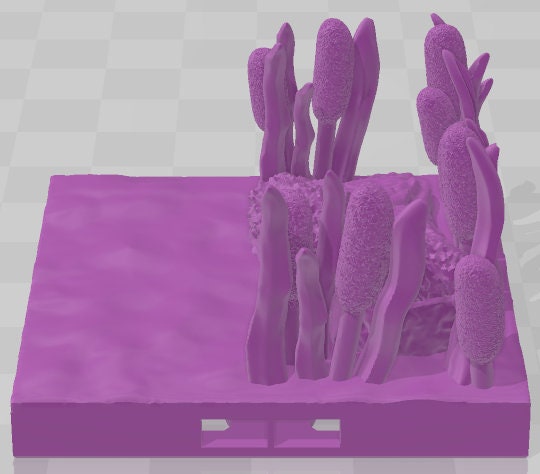 Lily Wetlands Set 2 - Swamp of Sorrows - Pathfinder - Dungeons & Dragons -RPG- Tabletop-Terrain-28 mm / 1"- Aether Studios