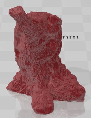 Scatter Trees Set 2 - Swamp of Sorrows - Pathfinder - Dungeons & Dragons -RPG- Tabletop-Terrain-28 mm / 1"- Aether Studios