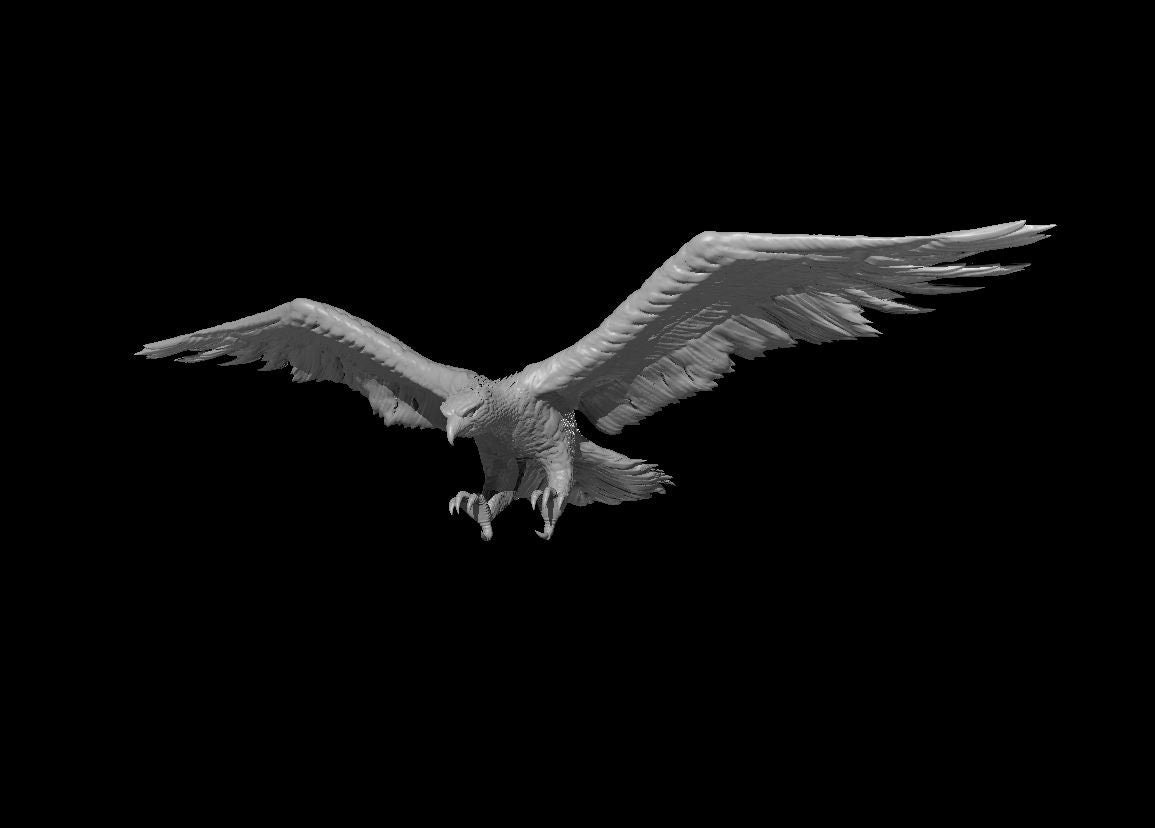 Blood Hawk Mini - DND - Pathfinder - Dungeons & Dragons - RPG - Tabletop - mz4250- Miniature - 28 mm - 1" Scale