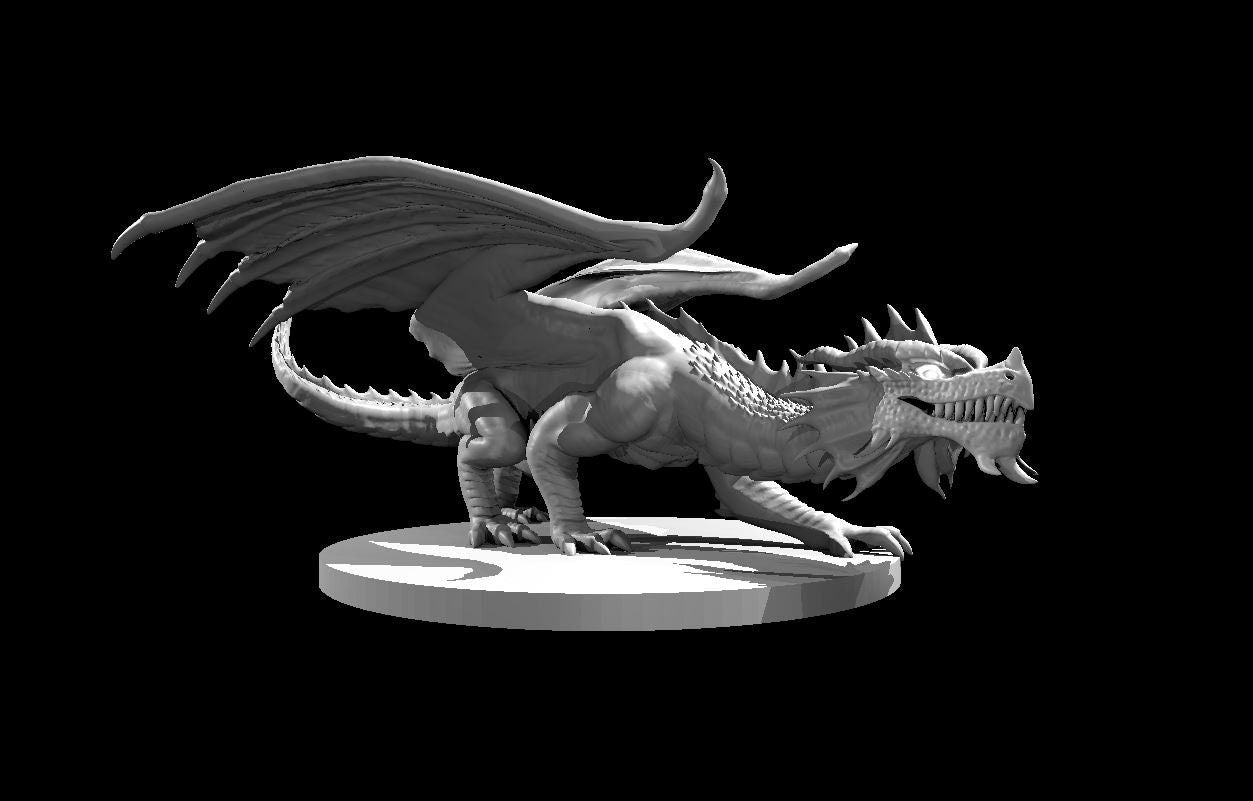 Red Dragon Young Chromatic Mini - DND - Pathfinder - Dungeons & Dragons - RPG - Tabletop - mz4250- Miniature-28mm-1"Scale