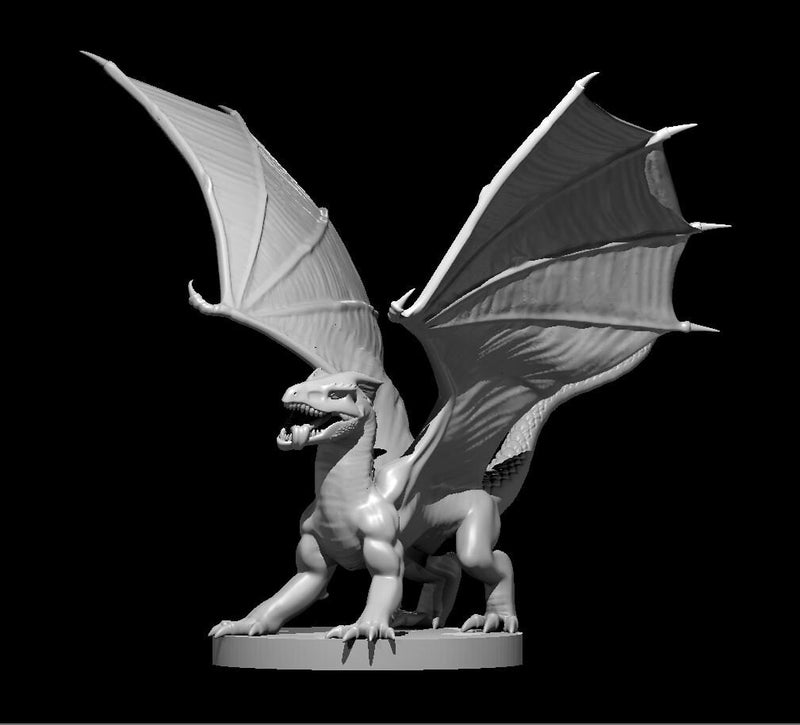 White Dragon Wyrmling Chromatic Mini - DND - Pathfinder - Dungeons & Dragons - RPG - Tabletop - mz4250- Miniature-28mm-1"Scale