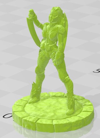 Sky Elf Pirate Patrol - Sky Islands - Pathfinder - Dungeons & Dragons -RPG- Tabletop-Terrain - 28 mm / 1" - Aether Studios