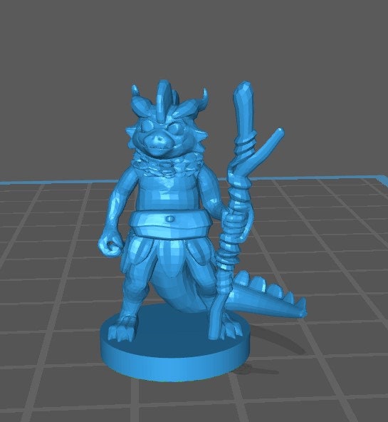 Dragonborn Druid Mini - DND - Pathfinder - Dungeons & Dragons - RPG - Tabletop - mz4250- Miniature-28mm-1"Scale