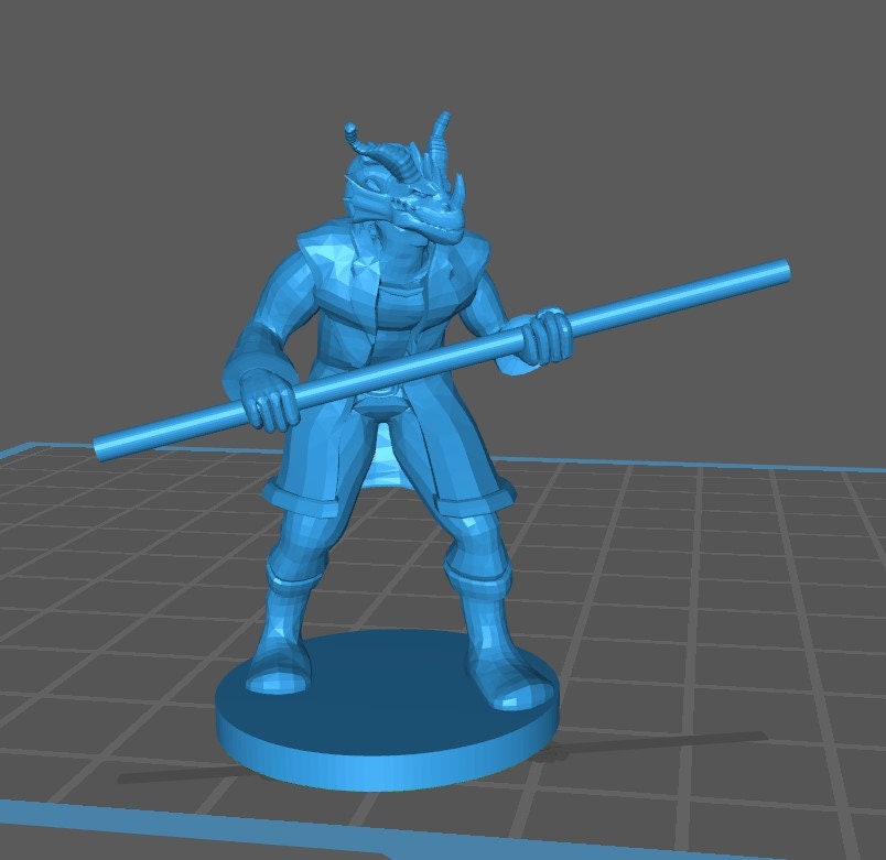 Dragonborn Monk Mini - DND - Pathfinder - Dungeons & Dragons - RPG - Tabletop - mz4250- Miniature-28mm-1"Scale