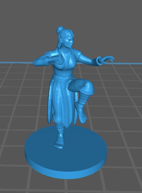 Human Monk Mini - DND - Pathfinder - Dungeons & Dragons - RPG - Tabletop - mz4250- Miniature-28mm-1"Scale