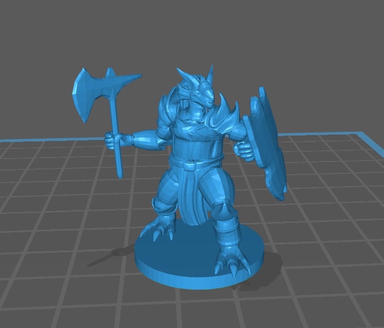 Dragonborn Paladin - DND - Pathfinder - Dungeons & Dragons - RPG - Tabletop - mz4250- Miniature-28mm-1"Scale