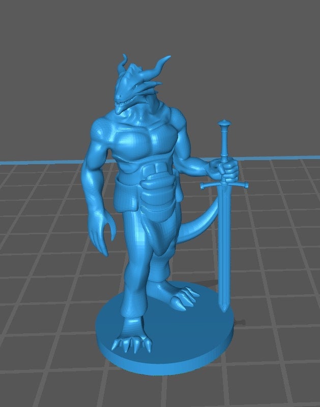 Dragonborn Fighter Minis - DND - Pathfinder - Dungeons & Dragons - RPG - Tabletop - mz4250- Miniature-28mm-1"Scale