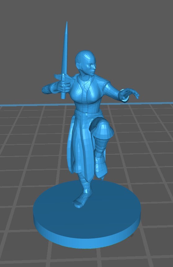 Human Monk Mini - DND - Pathfinder - Dungeons & Dragons - RPG - Tabletop - mz4250- Miniature-28mm-1"Scale