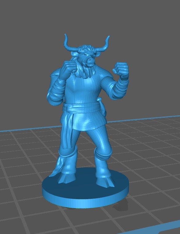 Other Races Monk Mini - DND - Pathfinder - Dungeons & Dragons - RPG - Tabletop - mz4250- Miniature-28mm-1"Scale