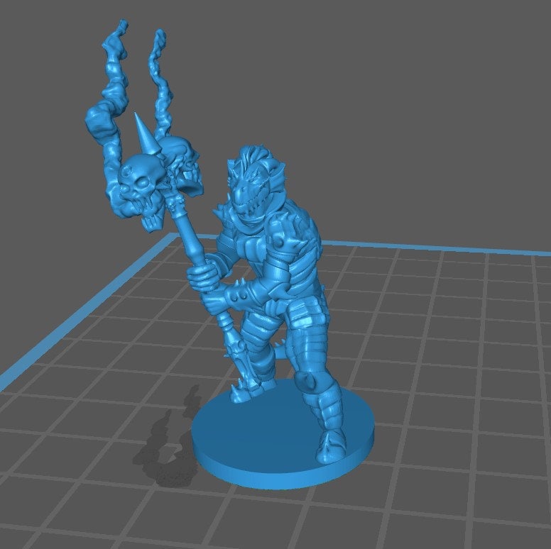 Dragonborn Paladin - DND - Pathfinder - Dungeons & Dragons - RPG - Tabletop - mz4250- Miniature-28mm-1"Scale