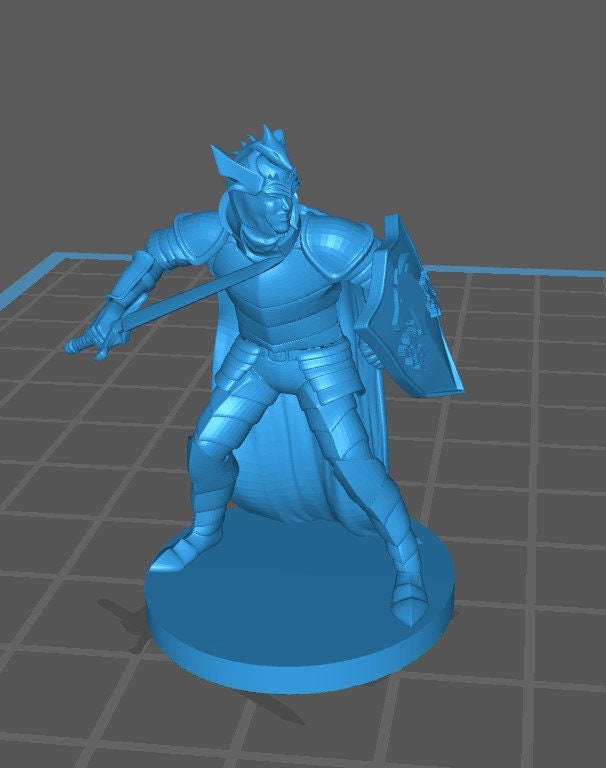 Human Paladin Pack 2 - DND - Pathfinder - Dungeons & Dragons - RPG - Tabletop - mz4250- Miniature-28mm-1"Scale