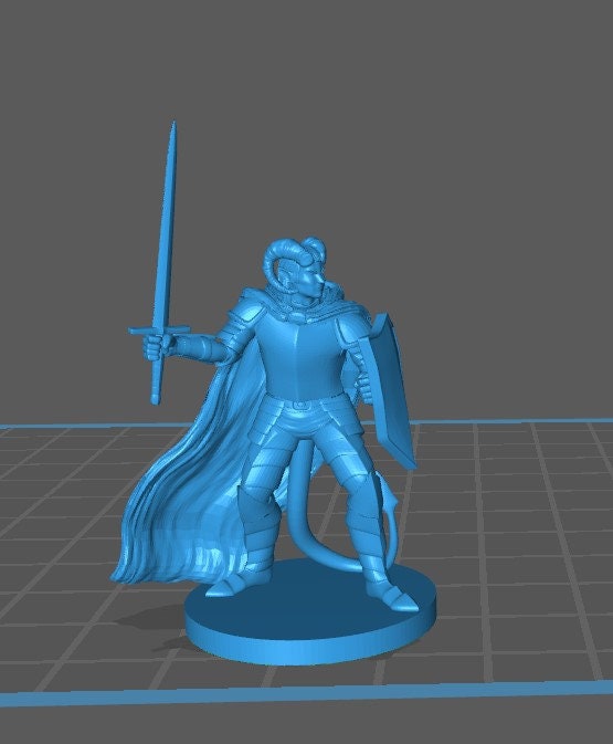 Tiefling Paladin - DND - Pathfinder - Dungeons & Dragons - RPG - Tabletop - mz4250- Miniature-28mm-1"Scale