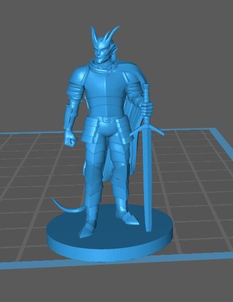 Tiefling Paladin - DND - Pathfinder - Dungeons & Dragons - RPG - Tabletop - mz4250- Miniature-28mm-1"Scale