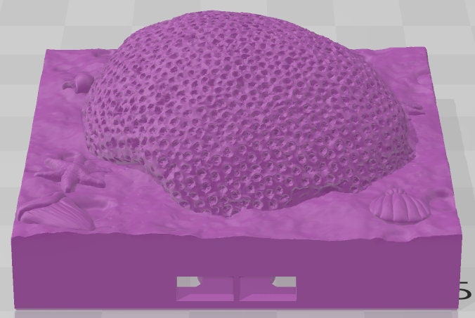 Atlantis 2x2 Seabed Tiles Set 2 -Pathfinder-Dungeons&Dragons-RPG-Tabletop-Terrain-28mm-AetherStudios