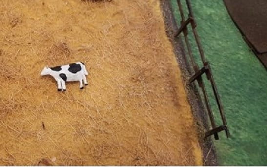 Livestock - War Games And Dioramas - 28 mm - Bolt Action