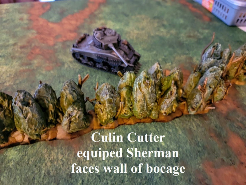 Interlocking Hedgerow  Bocage System - War Games And Dioramas - Historical Wargaming - Resin 28 mm