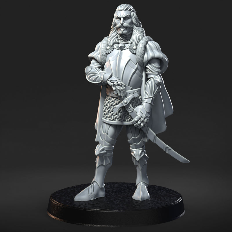 Steel Age Minis - DND - Pathfinder - Dungeons & Dragons - RPG - Tabletop - RN Studios - Miniature-28mm-1"Scale