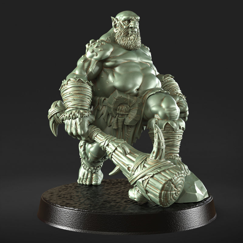 Roman Empire - DND - Pathfinder - Dungeons & Dragons - RPG - Tabletop - RN Studios - Miniature-28mm-1"Scale