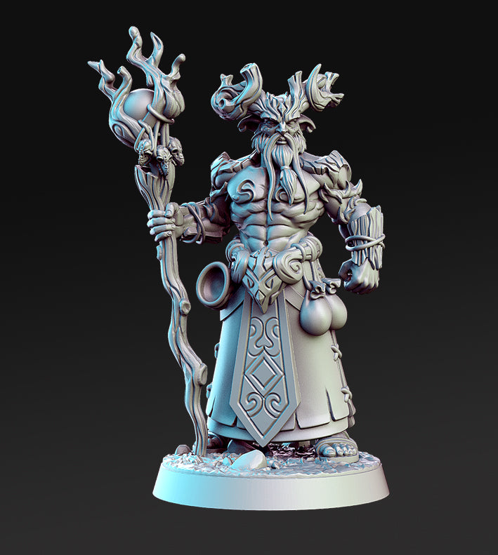 Inside The Magic Forest Minis - DND - Pathfinder - Dungeons & Dragons - RPG - Tabletop - RN Studios - Miniature-28mm-1"Scale