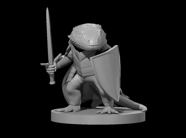 Bearded Dragonborn Fighter - DND - Pathfinder - Dungeons & Dragons - RPG - Tabletop - mz4250- Miniature-28mm-1"Scale