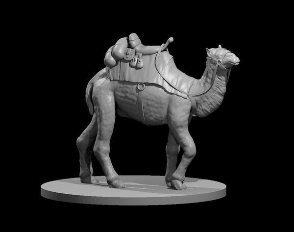 Camel Mount - DND - Pathfinder - Dungeons & Dragons - RPG - Tabletop - mz4250- Miniature-28mm-1"Scale