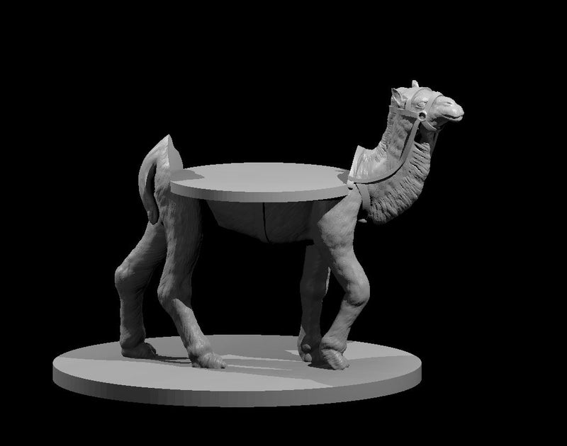 Camel Mount - DND - Pathfinder - Dungeons & Dragons - RPG - Tabletop - mz4250- Miniature-28mm-1"Scale