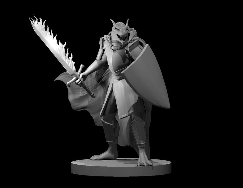 Dragonborn Player Characters - DND - Pathfinder - Dungeons & Dragons - RPG - Tabletop - mz4250- Miniature-28mm-1"Scale