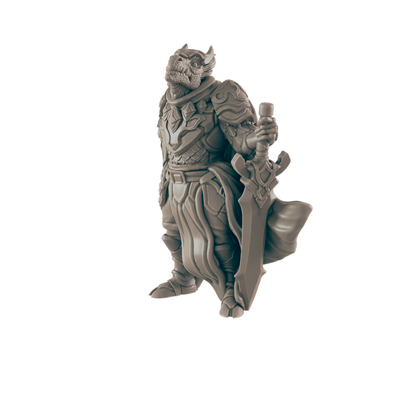 Paladin Dragonkin Male - Everyday Heroes - Minis - EC3D - - Dungeons & Dragons - RPG - Tabletop - EC3D - Miniature