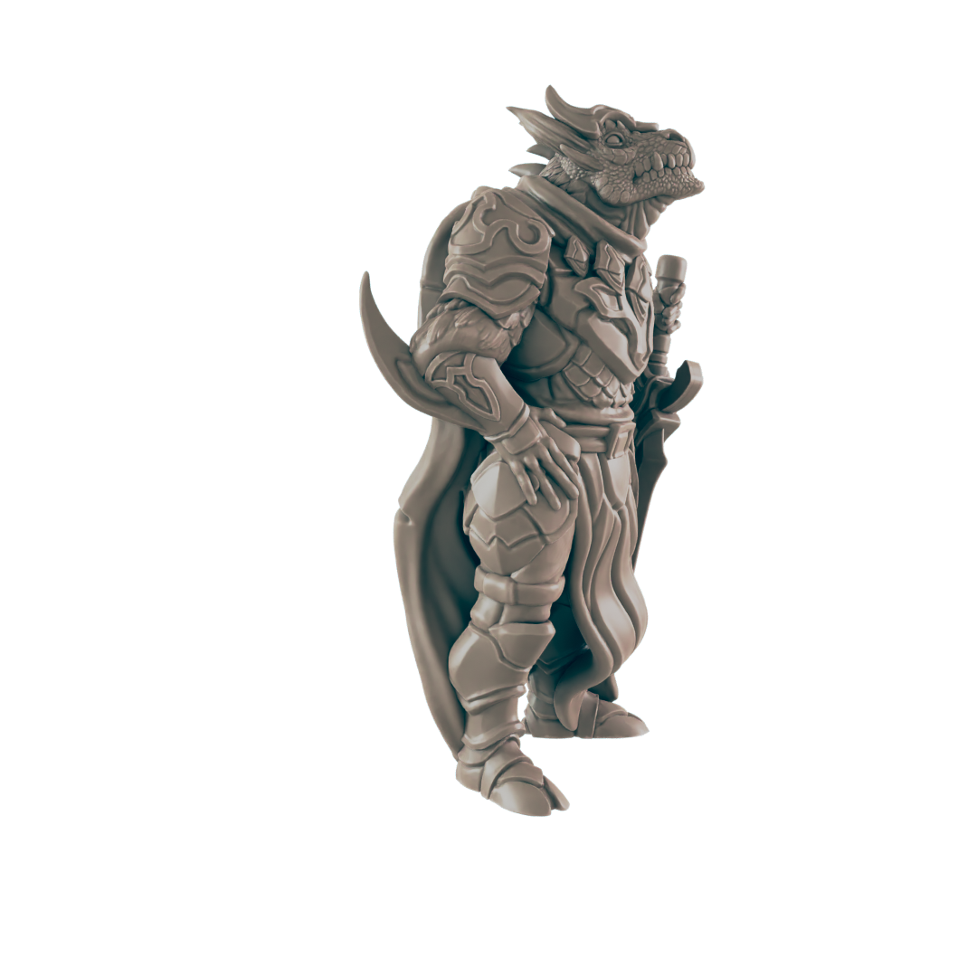Paladin Dragonkin Male - Everyday Heroes - Minis - EC3D - - Dungeons & Dragons - RPG - Tabletop - EC3D - Miniature