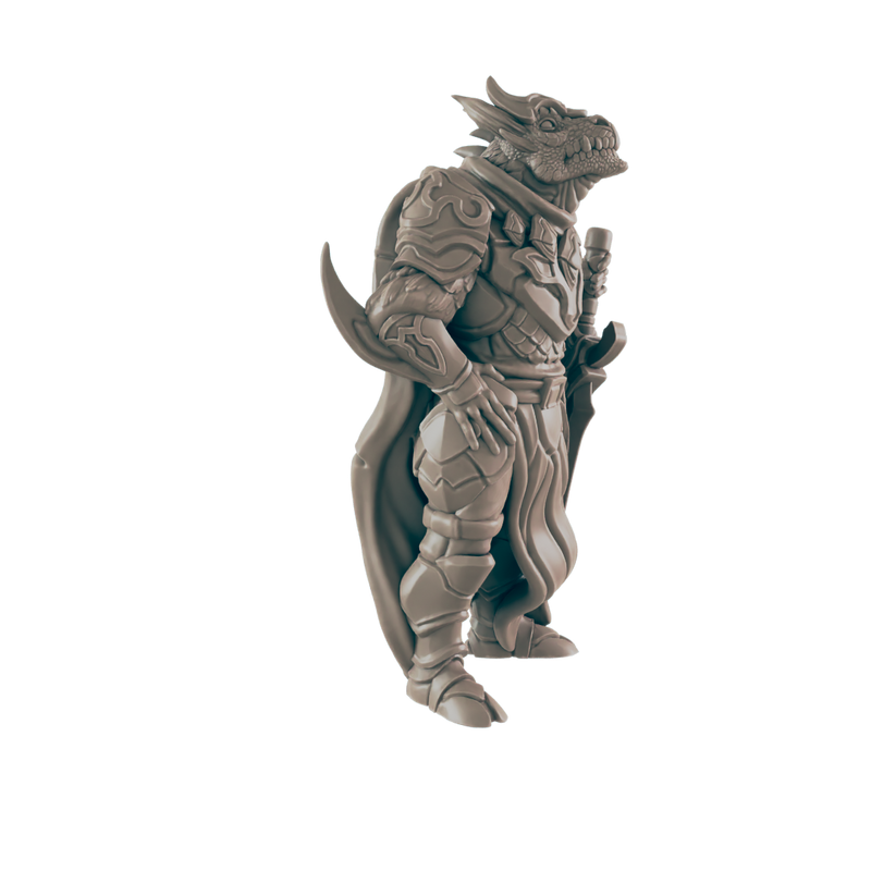 Paladin Dragonkin Male - Everyday Heroes - Minis - EC3D - - Dungeons & Dragons - RPG - Tabletop - EC3D - Miniature