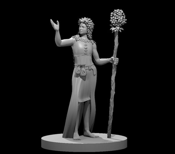 Duskthorn Druid - DND - Pathfinder - Dungeons & Dragons - RPG - Tabletop - mz4250- Miniature-28mm-1"Scale