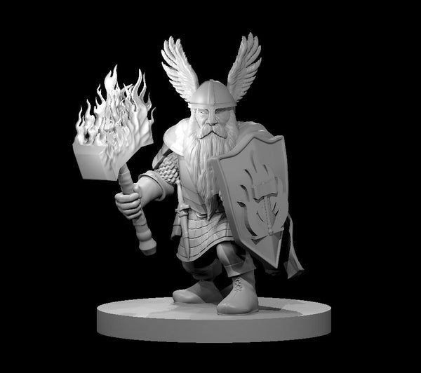 Dwarf Male Paladin - DND - Pathfinder - Dungeons & Dragons - RPG - Tabletop - mz4250- Miniature-28mm-1"Scale