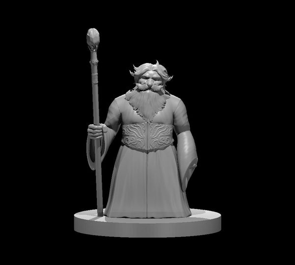 Dwarf Male Wizard - DND - Pathfinder - Dungeons & Dragons - RPG - Tabletop - mz4250- Miniature-28mm-1"Scale