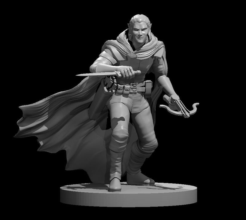 Elf Male Rogues - DND - Pathfinder - Dungeons & Dragons - RPG - Tabletop - mz4250- Miniature-28mm-1"Scale